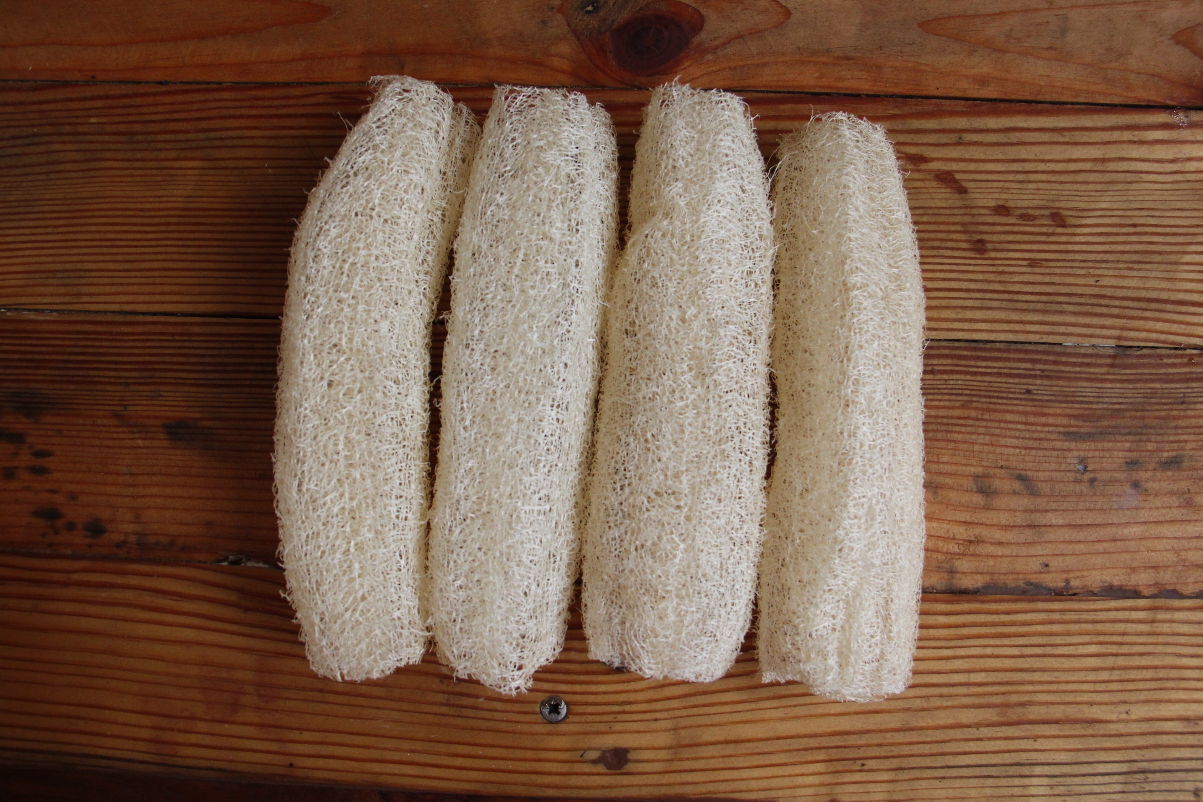 Organic Luffa Sponge