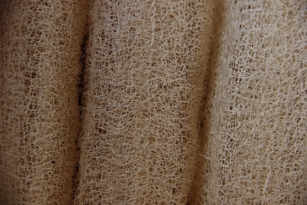 Organic Luffa Sponge