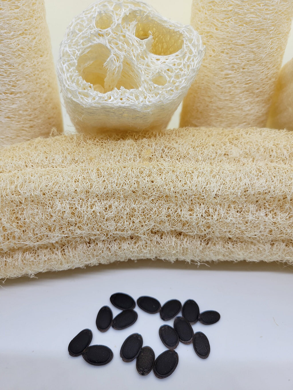 Organic Luffa Seeds